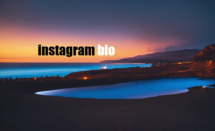 instagram bio