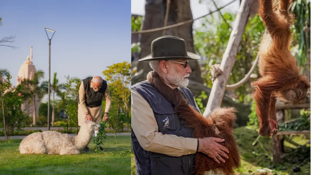 Vantara zoo
