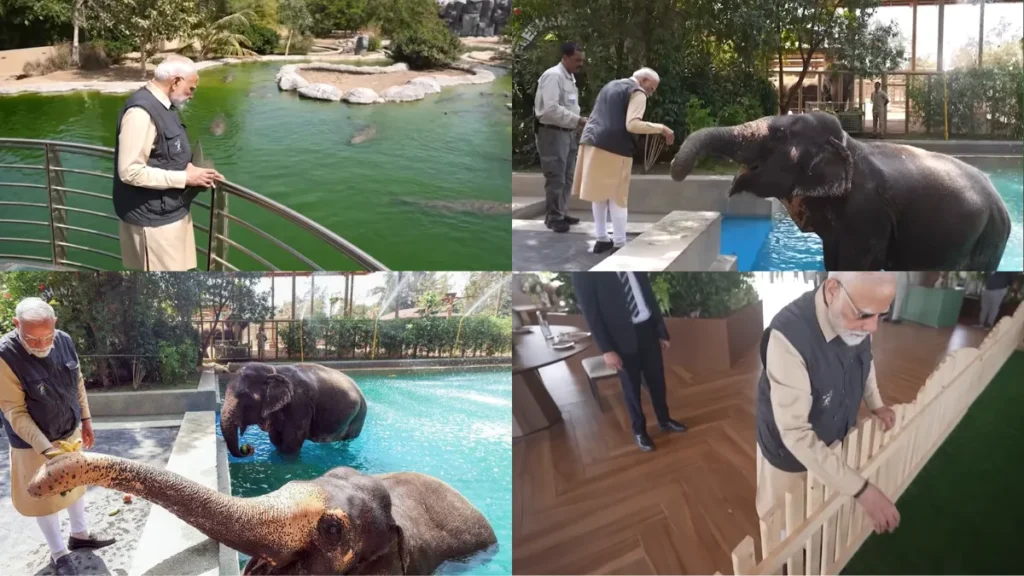 Vantara zoo