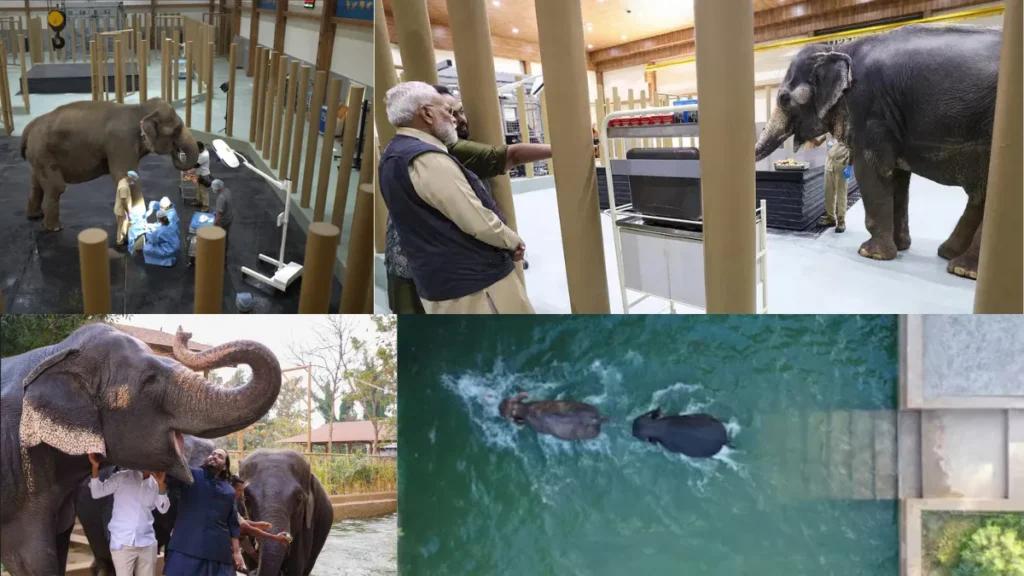 Vantara zoo