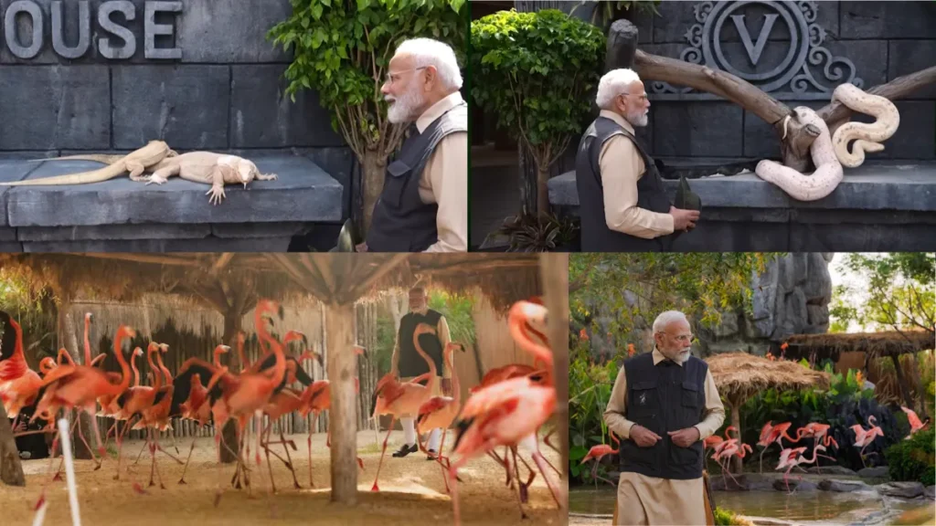 Vantara zoo