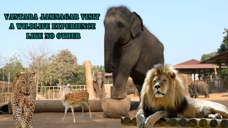 Vantara Jamnagar Visit