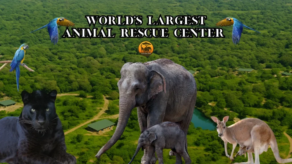 World's Largest Animal Rescue Center Vantara