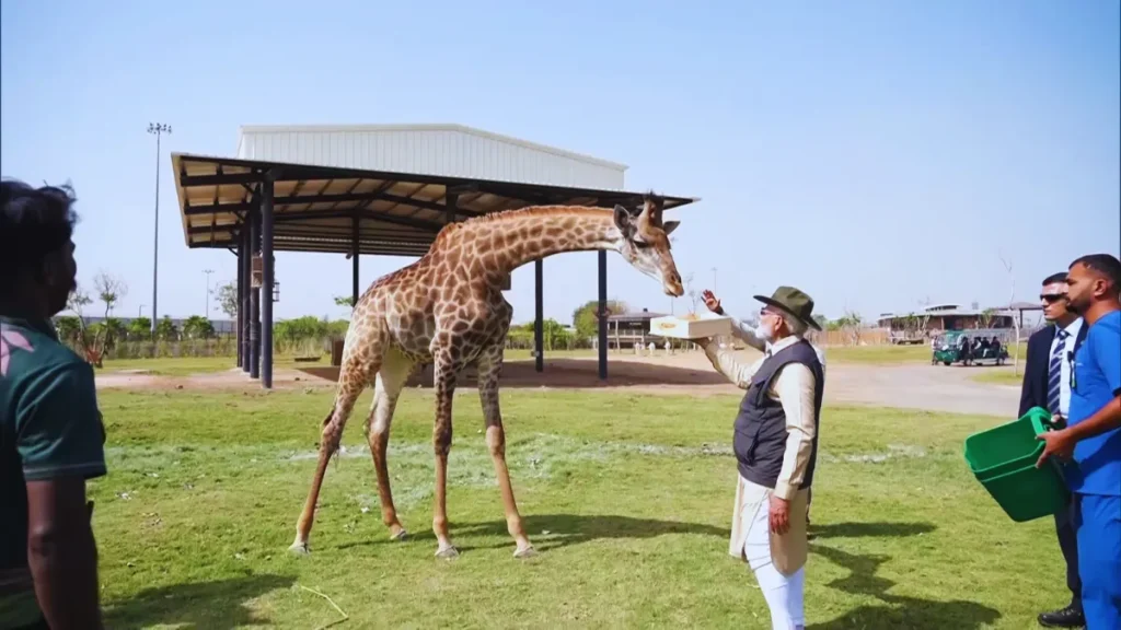 World's Largest Animal Rescue Center Vantara