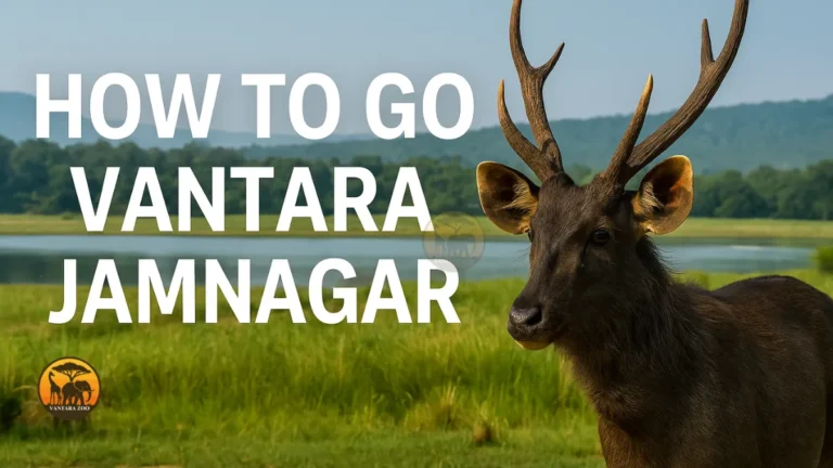 How to Go Vantara Jamnagar