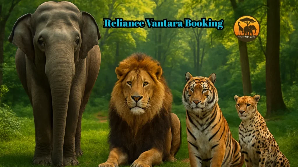 Reliance Vantara Booking