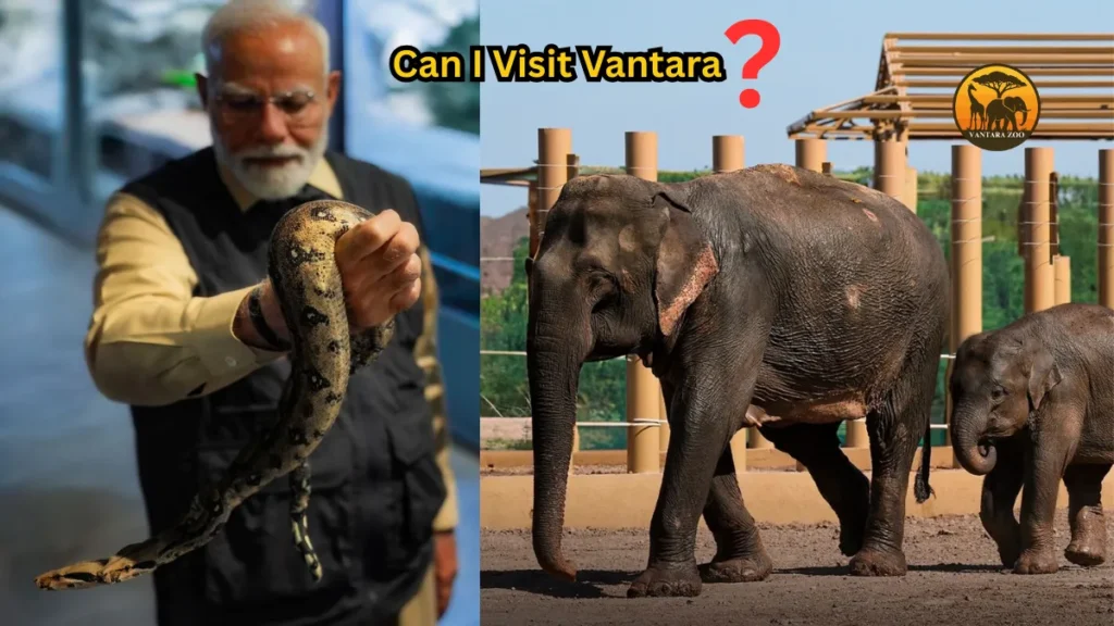 Can I Visit Vantara?