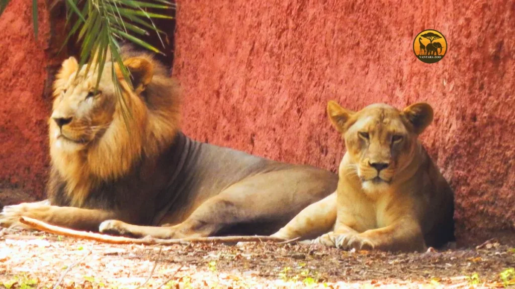 Nehru Zoological Park