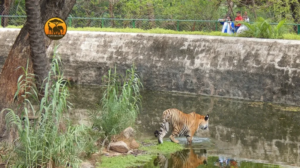 Nehru Zoological Park