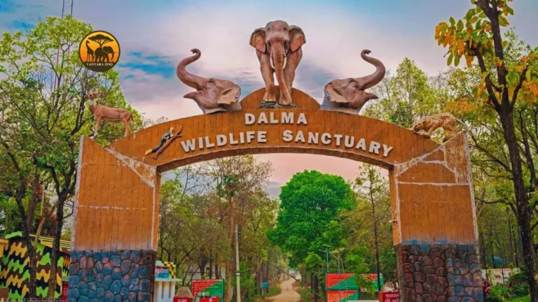 Ranchi Tourism