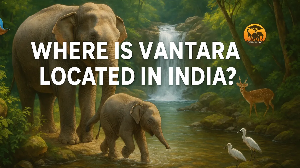 Where is Vantara located in India