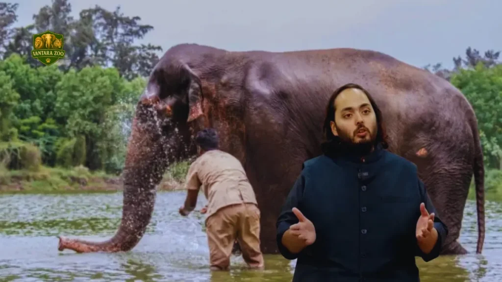 Mahadevi Elephant Vantara