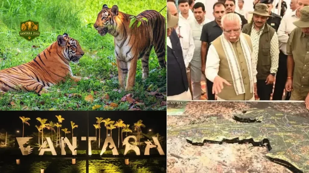 Aravali Jungle Safari