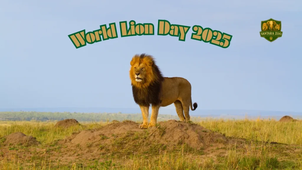 World Lion Day 2025