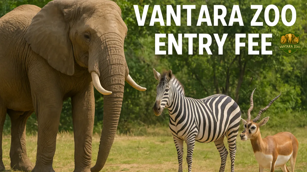 Vantara Zoo Entry Fee