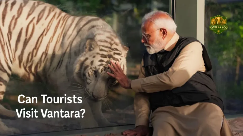 Can Tourists Visit Vantara
