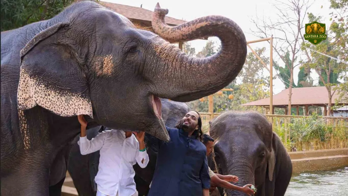 Who Owns Vantara Zoo in India