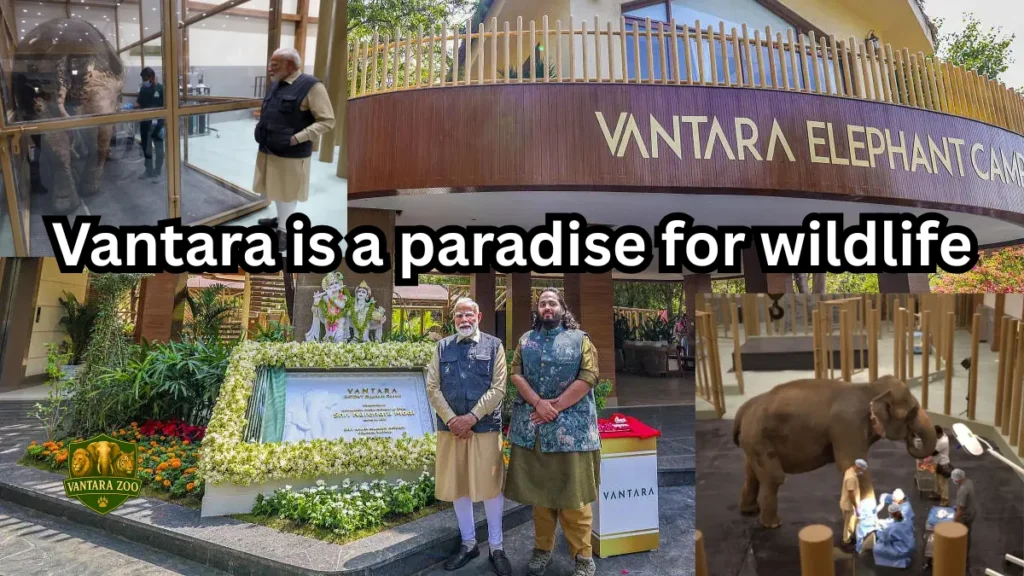 Supreme Court Vantara