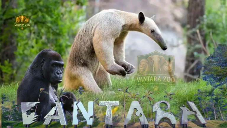Vantara India Zoo