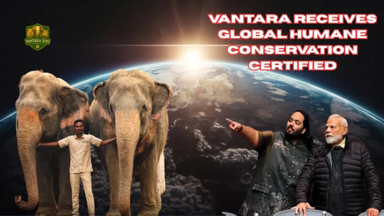 Vantara