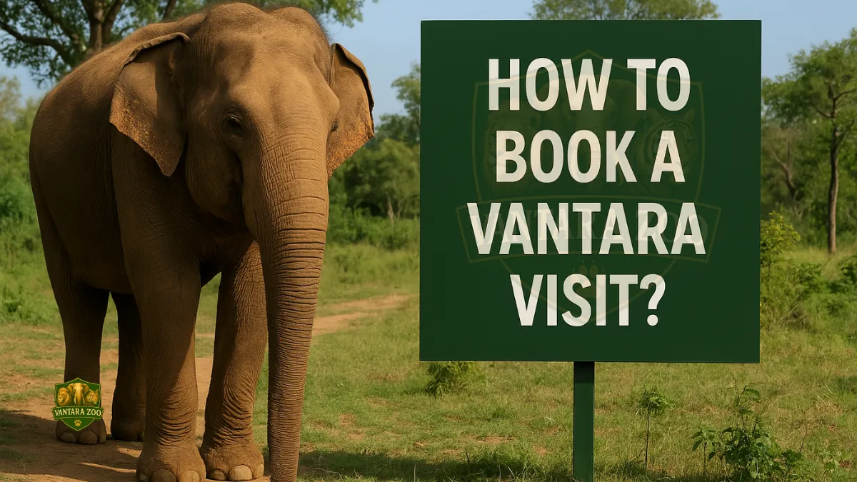 How to book a Vantara visit