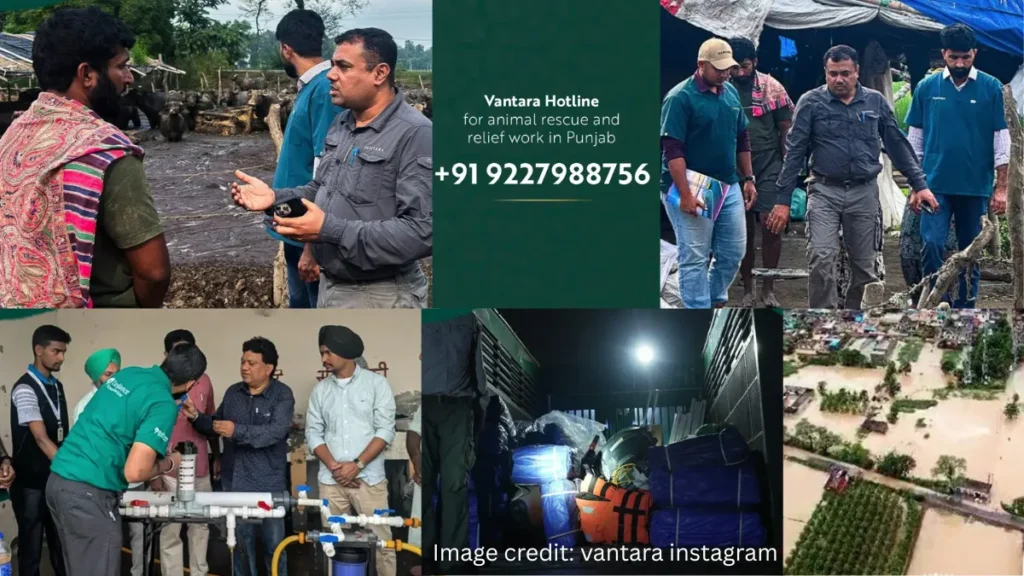 Vantara Rapid Response Team